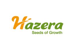 HAZZERA SEEDS