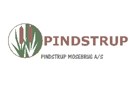 SYNERGASIES PINDSTRUP
